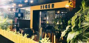  Tiger Hostel  Медельин